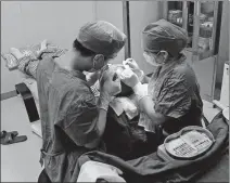  ?? PAN XULIN / CHINA NEWS SERVICE ?? Doctors conduct a hair transplant operation at a Yonghe Medical Group facility in Beijing.