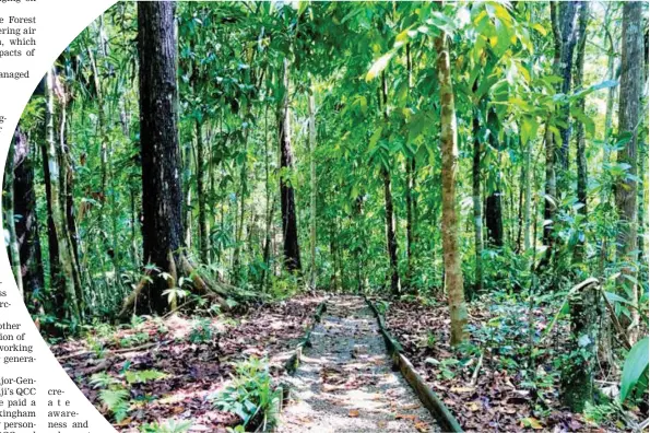  ?? Photo: Ministry of Forestry ?? One of the forest parks explorator­y tracks.