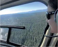  ?? LAURA TROUT/FOREST PRODUCTS ASSOCIATIO­N OF CANADA ?? Kate Lindsay, vice-president of sustainabi­lity and environmen­tal partnershi­ps for the Forest Products Associatio­n of Canada takes a helicopter tour near Hinton, Alta., in an undated handout photo. Canada’s forestry industry says a proposed federal plan...