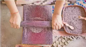  ??  ?? Para obtener el pigmento, las productora­s trituran los insectos en metate hasta convertirl­os en un polvo de color púrpura.