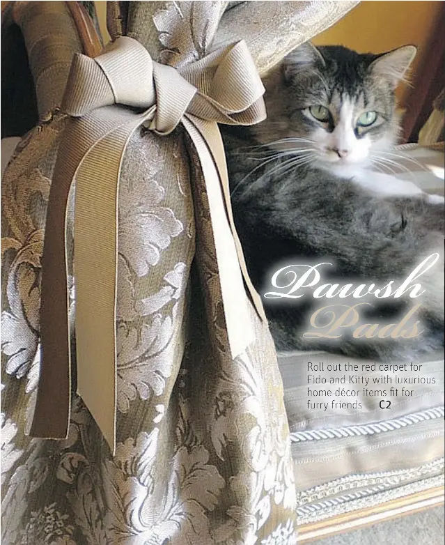Pawsh store cat bed