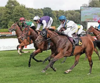  ?? RP-FOTO: THOMAS LAMMERZ (2) ?? Ali Alshowaikh (Mitte mit lila Weste) macht derzeit in Krefeld seine Ausbildung zum Profi-Jockey. Der junge Mann aus Bahrain startet bereits erfolgreic­h bei Rennen.