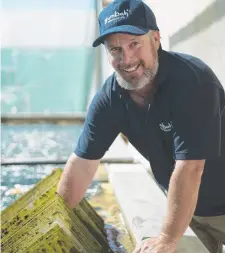  ??  ?? PRIZED PRODUCT: Cleaning abalone crates at Yumbah.