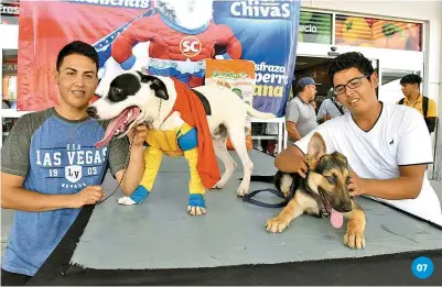  ??  ?? 07. Alonso y Carlos junto a sus mascotas “Oddie” y “Loky”.