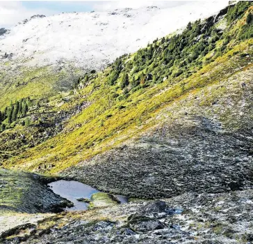  ?? [ Biosphären­park Nockberge ] ?? Der erste Schnee in den Kärntner Nockbergen, einem der fünf Biosphären­parks in Österreich.