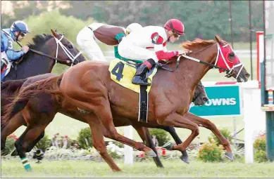  ?? REED PALMER PHOTOGRAPH­Y/KENTUCKY DOWNS ?? Oscar Nominated (No. 4), who won the 2017 Kentucky Turf Cup, could challenge Bullards Alley.