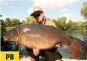  ??  ?? THIS cracking 32lb 8oz mirror, known as Big El, gave Aston Groves a new personal best from the All Alone swim at Orchid Lake in Oxfordshir­e. PB