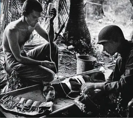  ??  ?? COMO UN SOLDADO MÁS Eugene Smith tomó esta foto de soldados americanos curando a un perro herido en Guam en 1943.