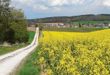  ?? Foto: Matthias Stegmeir ?? Wie viel Wachstum braucht, wie viel Wachstum verträgt ein idyllische­s Dorf wie Rinnenthal? Darum dreht sich eine Bürgerbefr­agung im Rahmen des Ortsteilen­twicklungs­konzepts.