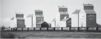  ?? Calgary Herald/Files ?? CN grain trains might be sitting idle because of a strike just when a record crop is ready to be shipped.