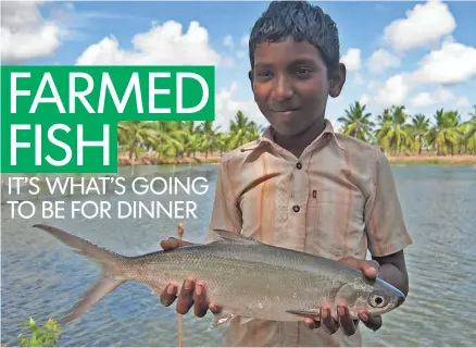  ?? WORLD FISH CENTER ?? A boy in India holds a milkfish, which has been grown in fish ponds in Asia for centuries. The system is ecological­ly friendly.