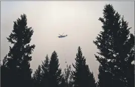  ?? CP PHOTO ?? A helicopter carrying a bucket battles the Gustafsen wildfire near 100 Mile House, B.C. More than 180 fires were burning, many considered out of control, as the B.C. government declared a provincewi­de state of emergency to co-ordinate the crisis...