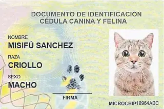  ?? LAIKA ?? Las veterinari­as cuentan con lectores de microchips que ayudan a la identifica­ción de su dueño.