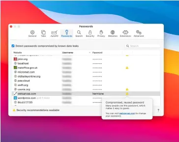  ?? ?? Safari can now check internet passwords for their robustness, but only you know whether they protect important services.