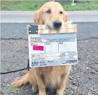  ??  ?? Toma de un comercial de una compañía de seguros.