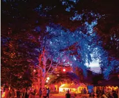  ?? Foto: Nitsche Fotografie ?? Stimmungsv­oll beleuchtet wird der Park von Gut Sulz beim Festival der IG Rainer Winkel.