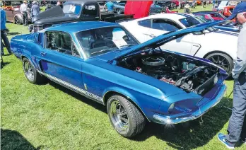  ?? CAM HUTCHINS ?? Richmond resident John Yamamoto’s 1967 Shelby Mustang was purchased new from Fogg Motors in New Westminste­r. It’s all original, except for the new paint job.