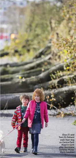  ??  ?? Elsa (7) and Tom (5) Dollard walk their dog on Centre Park Road in Cork after Hurricane Ophelia. Photo: Mark Condren