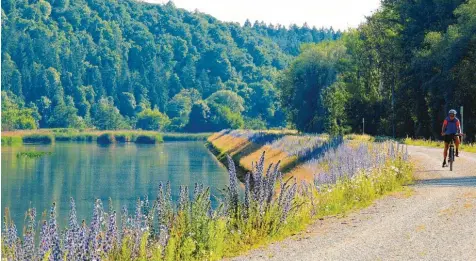  ??  ?? Zu den schönsten Abschnitte­n an der Donau gehört der Stau zwischen Stepperg und Finkenstei­n. Aber er wird nicht Bestandtei­l des offizielle­n Wanderwege­s.