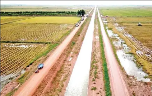  ?? FACEBOOK ?? Paddy fields are seen on either sides of a canal in Banteay Meanchey province’s Preah Netr district on Tuesday.