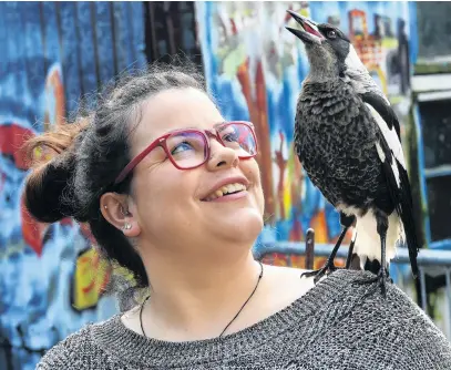 ?? PHOTO: STEPHEN JAQUIERY ?? Calling the tune . . . Pie the pet magpie launches into song on the shoulder of her human, Jessica Jack.