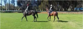  ??  ?? Jockeys test out repaired Durbanvill­e Racecourse