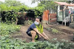  ??  ?? Dean, a nurse who asked that her surname not be used, grows vegetables at her family’s backyard in Caloocan City to reduce expenses.