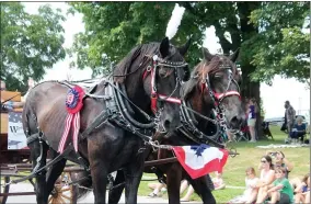  ?? PHOTOS BY LAUREN HALLIGAN — MEDIANEWS GROUP FILE ?? A pair of horses sport patriotic colors during the 25th annual Turning Point Parade in Schuylervi­lle.