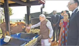  ?? PTI PHOTO ?? ▪ Prime Minister Narendra Modi pets a cow after he donated 200 cows under 'Girinka' (one cow per poor family programme), at Rweru Model village in Rwanda, on Tuesday. Also seen is Rwandan President Paul Kagame (right).