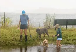  ?? BILLY SCHUERMAN/STAFF ?? Stefanie Levansalor walks along Cambridge Crescent with her daughter Finley and dogs Leo and Beau as Tropical Storm Ophelia passed through Norfolk in September.