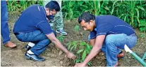  ?? ?? DPL officials plant a rubber sapling during the event in Monaragala