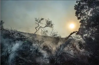  ?? Bobby Block/The Signal ?? Firefighte­rs monitor a flare-up Saturday afternoon caused by the Saddleridg­e Fire near Interstate 5. Two more spot fires in the Santa Clarita Valley reportedly ignited within minutes of one another Monday. Both were doused quickly.