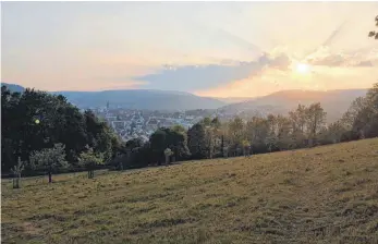  ?? FOTO: DOROTHEA HECHT ?? Hier ist der erste Anstieg fast geschafft und man wird auf der Wiese über dem Luginsfeld­weg mit einem Ausblick über Tuttlingen belohnt.