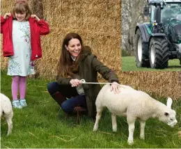  ??  ?? The Cambridges in County Durham: Prince William gets behind the wheel of farmer Stewart Chapman’s tractor, while
Kate and Stewart’s daughter Clover pat the lambs.