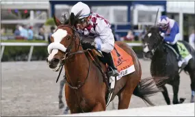  ?? DERBE GLASS — COGLIANESE PHOTOS, GULFSTREAM PARK VIA AP ?? In this image provided by Gulfstream Park, Tiz the Law, riddren by Manuel Franco, wins the Florida Derby at Gulfstream Park on Saturday in Hallandale Beach, Fla.