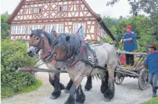  ?? FOTO: FREILICHTM­USEUM ?? Am Fuhrmannst­ag am 8. Juli zeigen die Kaltblüter auch in diesem Jahr, was sie alles können.