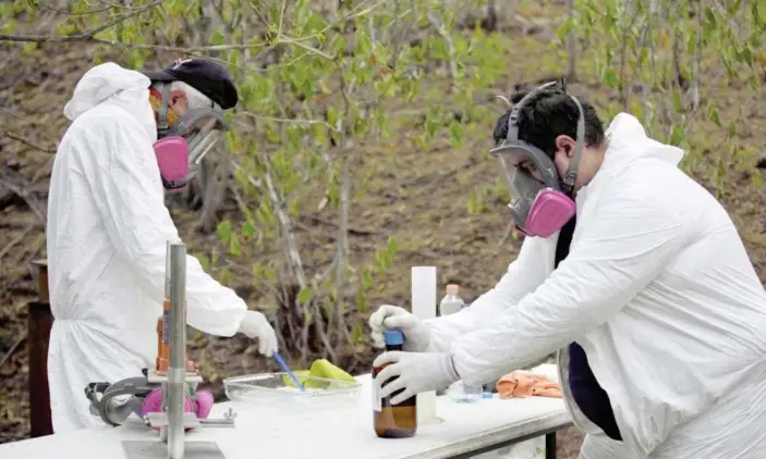  ?? Photograph: Forbidden Stories ?? Fentanyl pills being made in Mexico. ‘I know my pill is very powerful and that it will create dependence. And that’s what I want.’