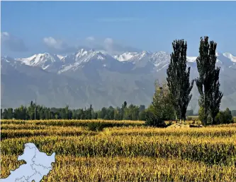  ??  ?? Oases along the Hexi Corridor originate in melt waters from the Qilian Mountains.