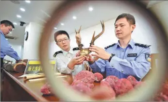  ?? CUI XIAO / FOR CHINA DAILY ?? Customs officers in Nanjing, Jiangsu province, transfer endangered plant and animal parts to a city forestry official (center) on Thursday. Altogether, 48 items were seized, including organ pipe coral, horns and ivory.