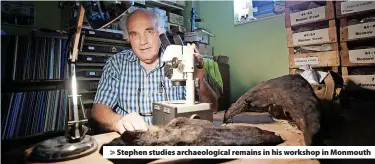  ?? ?? > Stephen studies archaeolog­ical remains in his workshop in Monmouth