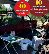  ?? FOTO: LUIS TELLES ?? A
pesos venden el bote
A
pesos venden el kilo de garbanzo en rama l
OPCIONES . Siembran maíz, pero como no llovió no tuvieron buenas cosechas.