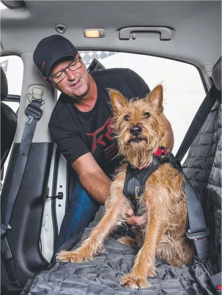  ?? Picture: JERAD WILLIAMS ?? Luke Hatcher with his dog Ponyo and one of his products, the EzyDog Drive Harness for safe travelling.