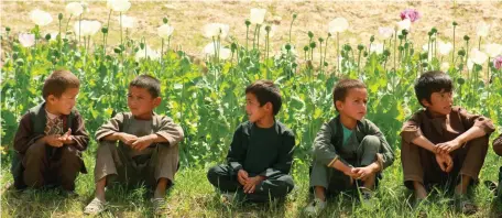  ??  ?? Afghan children with a poppy crop – the US government has spent billions of dollars attempting to eliminate opium production in Afghanista­n but the country remains the world’s top producer of the drug. Photo: Sharif Shayeq/AFP/Getty Images
