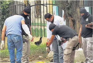  ??  ?? Sin capturas. La PNC montó un operativo de búsqueda, pero aún no se reportan capturas.