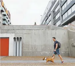  ?? Photos by Petr David Josek, The Associated Press ?? At top, Darwin, Robert Hasek’s pet bull terrier, goes for a run while wearing a fitness tracker attached to his collar. The Actijoy system not only tracks activity but also how rigorous it is. Above: Czech entreprene­ur Robert Hasek walks with Darwin during a demonstrat­ion of Actijoy in Prague.