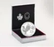  ??  ?? 2017 $15 Pure Silver Coin — Year of the Rooster, $101.88, canadapost.ca.