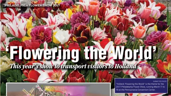  ?? SUBMITTED PHOTO ?? “Holland: Flowering the World” is the theme for the 2017 Philadelph­ia Flower Show, running March 11 to 19 at the Pennsylvan­ia Convention Center.