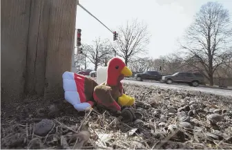  ?? STAFF PHOTO BY MARK GARFINKEL; PHOTO, BELOW, COURTESY WBZ-TV ?? R.I.P.: A toy stuffed turkey is seen at the intersecti­on of VFW Parkway and Baker Street in West Roxbury. It was placed there yesterday to commemorat­e the death of a wild turkey known as Larry, below, that was struck by a car and killed Friday.