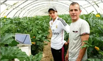  ?? (Photos G.A.) ?? Chaque nuit pendant cinq à sept minutes, les courgettes de Gilles Josuan et de sa fille Alisée sont bercées au son de la musique. Cette année, le domaine n’a recensé « aucune perte ».