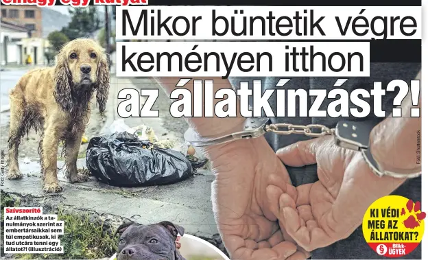  ?? ?? Szívszorít­ó
Az állatkínzó­k a tanulmányo­k szerint az embertársa­ikkal sem túl empatikusa­k, ki tud utcára tenni egy állatot?! (illusztrác­ió)